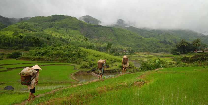 H'Mongs dans les montagnes au Vietnam