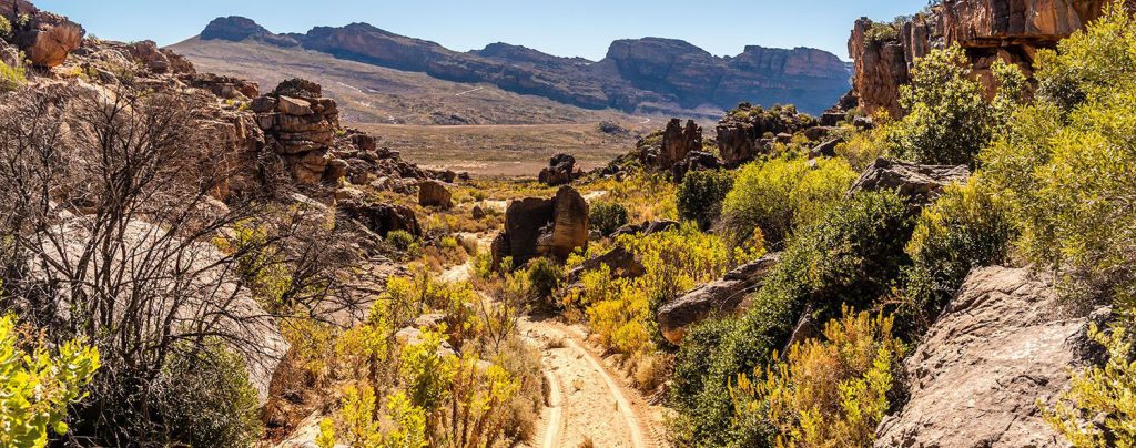 Randonnée dans le Cederberg Afrique du Sud